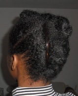 Natural hair Proteive Style Updo_1