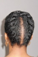 Natural Hair Retro Flat Twist Updo_back